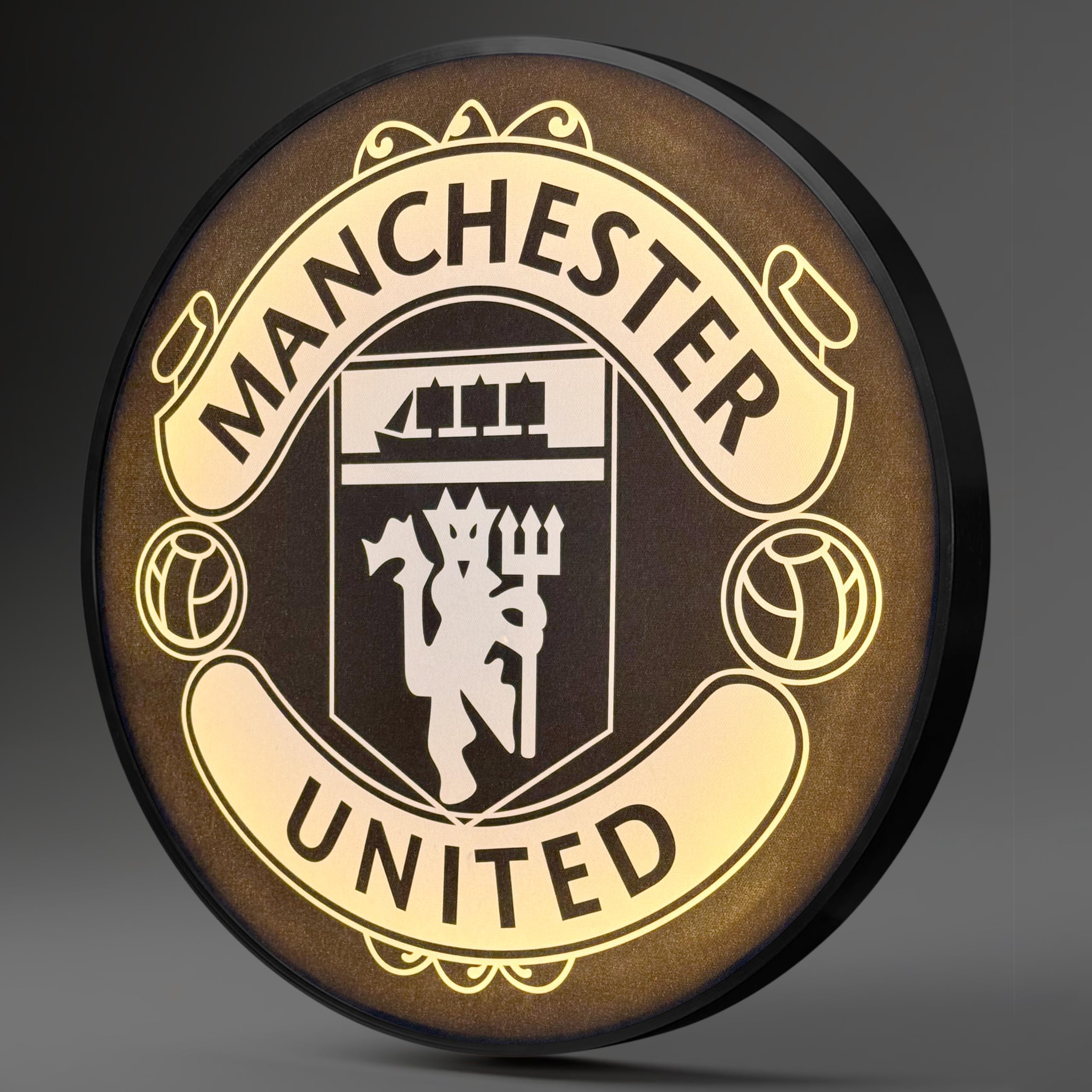 Full Moon Scenic View Night Wall Lamp Painting